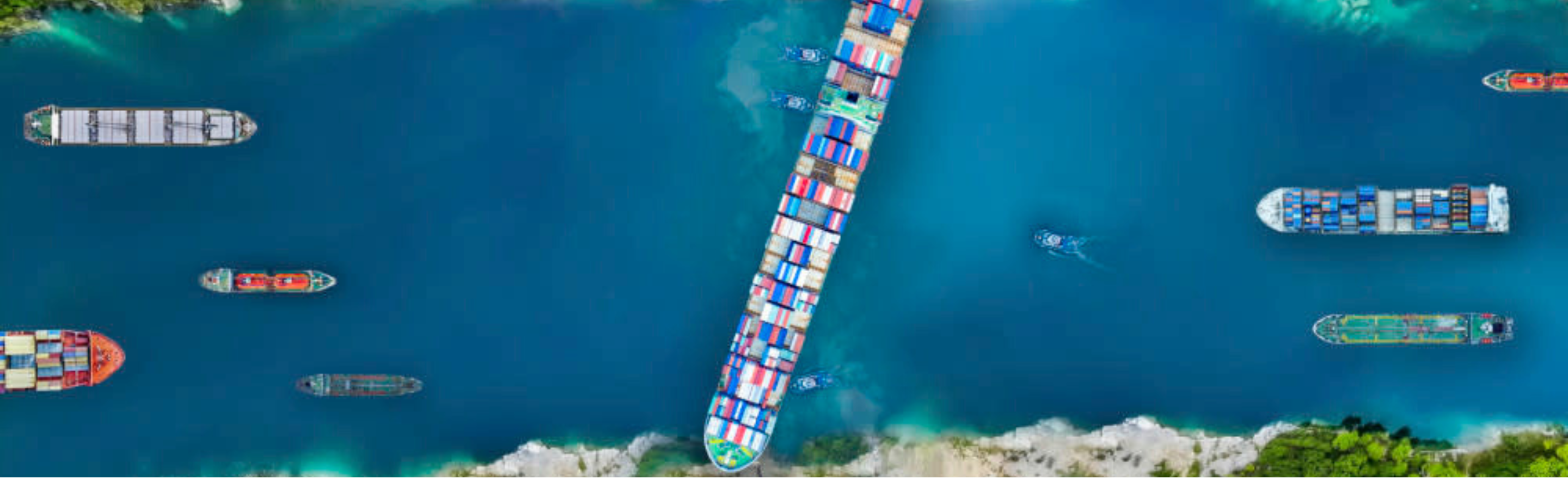 Secure Supply Chains and Smooth Sailing through Customs myNZTE