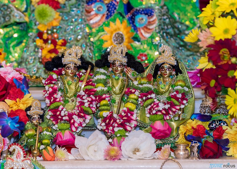 84e7a038-ba62-f011-bec2-00224811888f