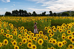 Majura Valley, Canberra, ACT © Tourism Australia