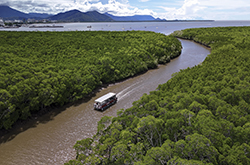 Mandingalbay Authentic Indigenous Tours, Queensland © Mandingalbay Authentic Indigenous Tours