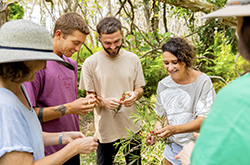 Tour guide showing a group of people indigenous flora in Minjerribah (North Stradbroke Island), Brisbane, Queensland