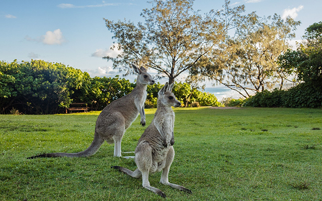 Minjerribah (North Stradbroke Island), Brisbane, QLD © Tourism Australia