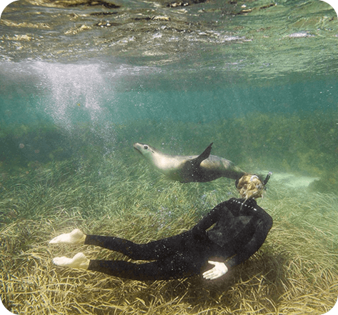 Adventure Lives in South Australia