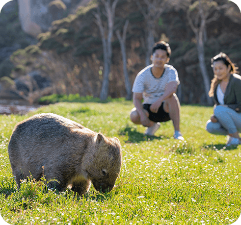 Melbourne’s Wildlife Sleepovers