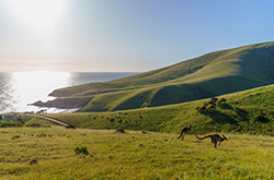 Deep Creek National Park, Fleurieu Peninsula, SA © Tourism Australia