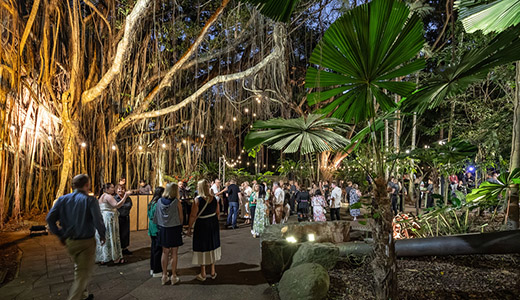 Cairns, QLD © Tourism Australia