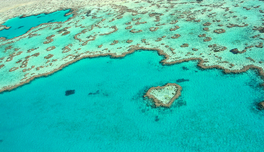 Great Barrier Reef, QLD © Tourism Whitsundays