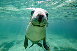 Jurien Bay, Coral Coast, WA © Tourism Australia