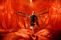 Bangarra Dance Theatre, Sydney, NSW © Bangarra Dance Theatre