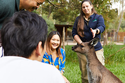 Healesville, Yarra Valley, VIC © Tourism Australia