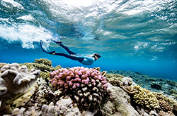 Great Barrier Reef, QLD © Tourism Tropical North Queensland / Great Barrier Reef Marine Park Authority