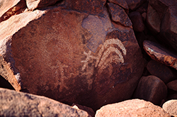 Ancient Aboriginal rock art at Murujuga Cultural Landscape