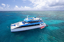 Reef Unlimited, Tropical North Queensland © Reef Unlimited