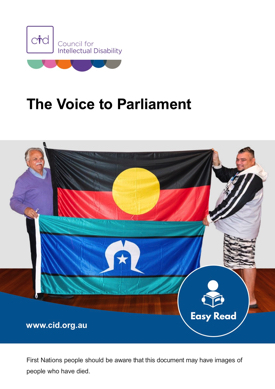 Cover of the CID resource 'Voice to Parliament'.