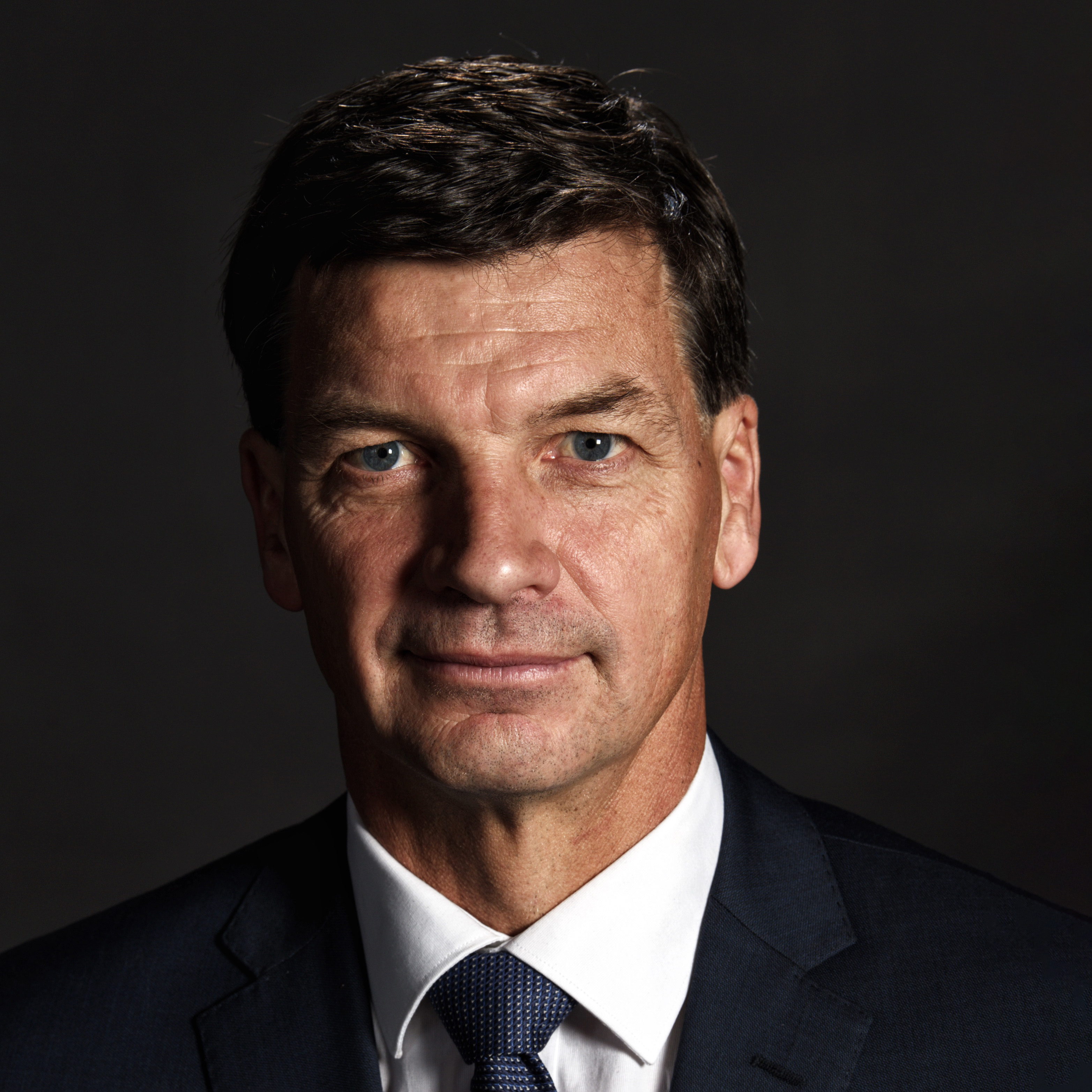 Hon. Angus Taylor MP