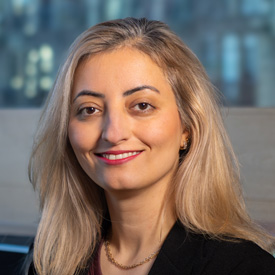 Professor Rahil Garnavi