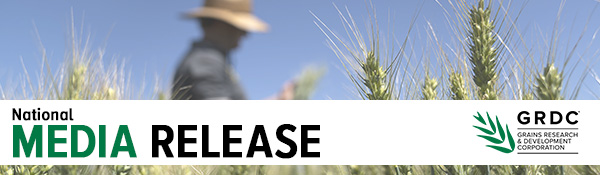 Image showing media release banner with man looking at grain