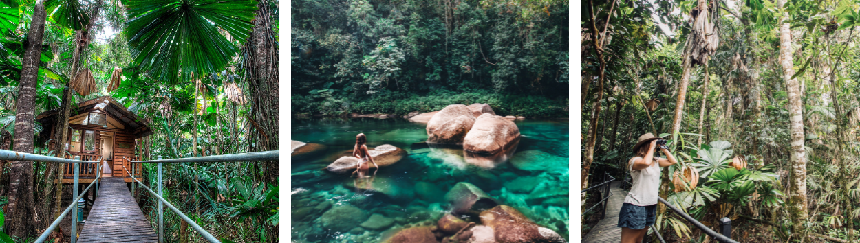Daintree Wilderness Lodge