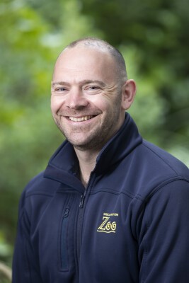 Chris Jerram, Director Safety, Assets & Sustainability at Wellington Zoo. He is sitting down and wearing a blue top.