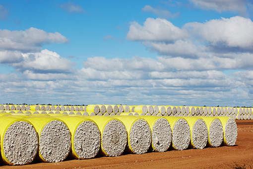 Bales of cotton