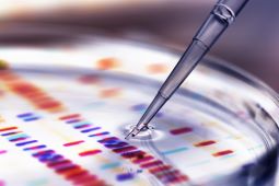 Pipette adding sample to petri dish with DNA profiles in background