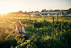 Woman in field