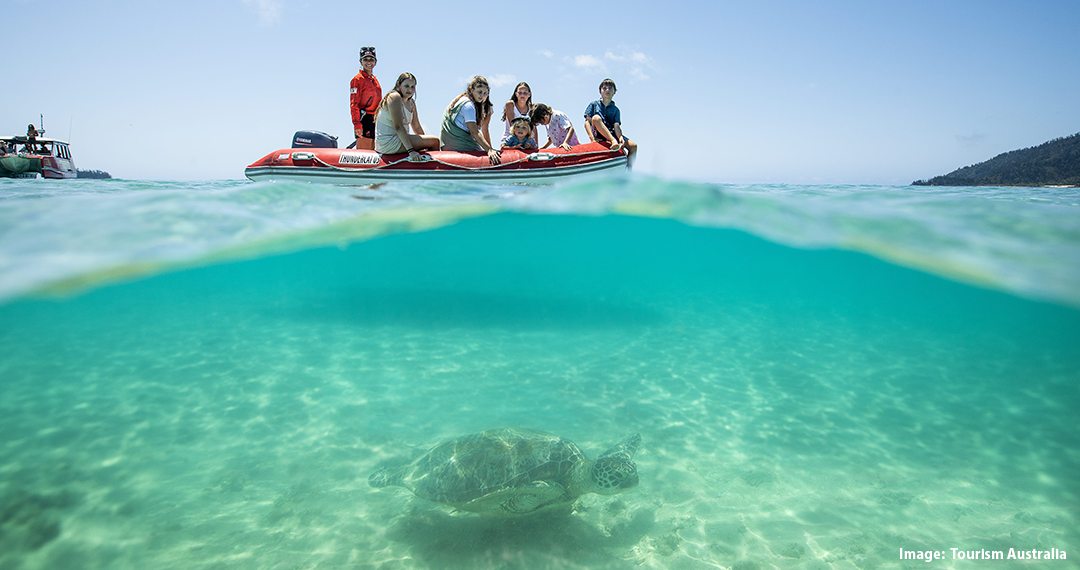 Kids looking at turtle swimming in the Whitsundays