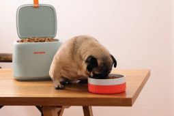 Scratch Pet Food