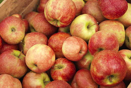 Crate of Australian red apples