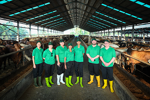 National Farmers' Federation delegates in a dairy stall, Indonesia
