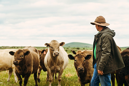 Farmer with cows