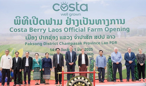 Costa berry farm opening