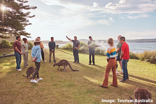 People watching kangaroos in the Eurobodalla National Park