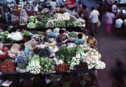 Fruit and Vegetable market