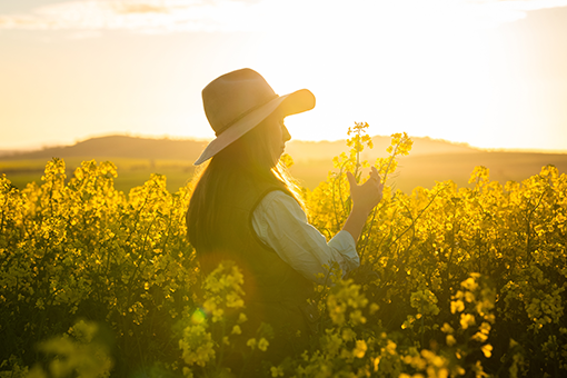 Female farmer inspects canola crop
