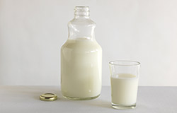 Dairy