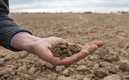 farm soil image