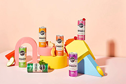 Remedy Drinks - Kombucha variety