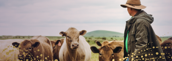 Austrade's Go Global Toolkit