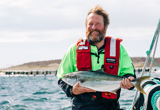 Clean Seas Spencer Gulf Kingfish