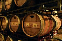 Wine barrels