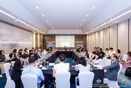 Australian medtech companies at a roundtable on the Connect policy hosted by Austrade