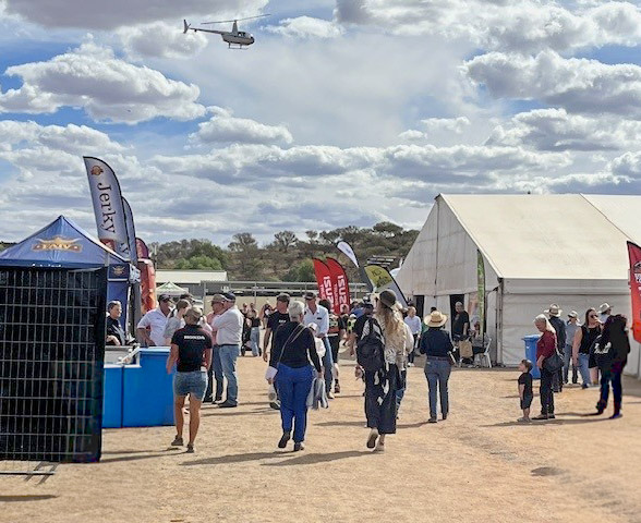 RFCs at local field days