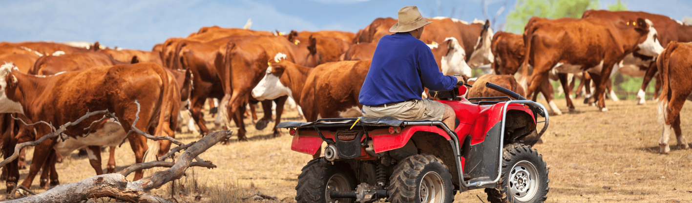 Farm safety training