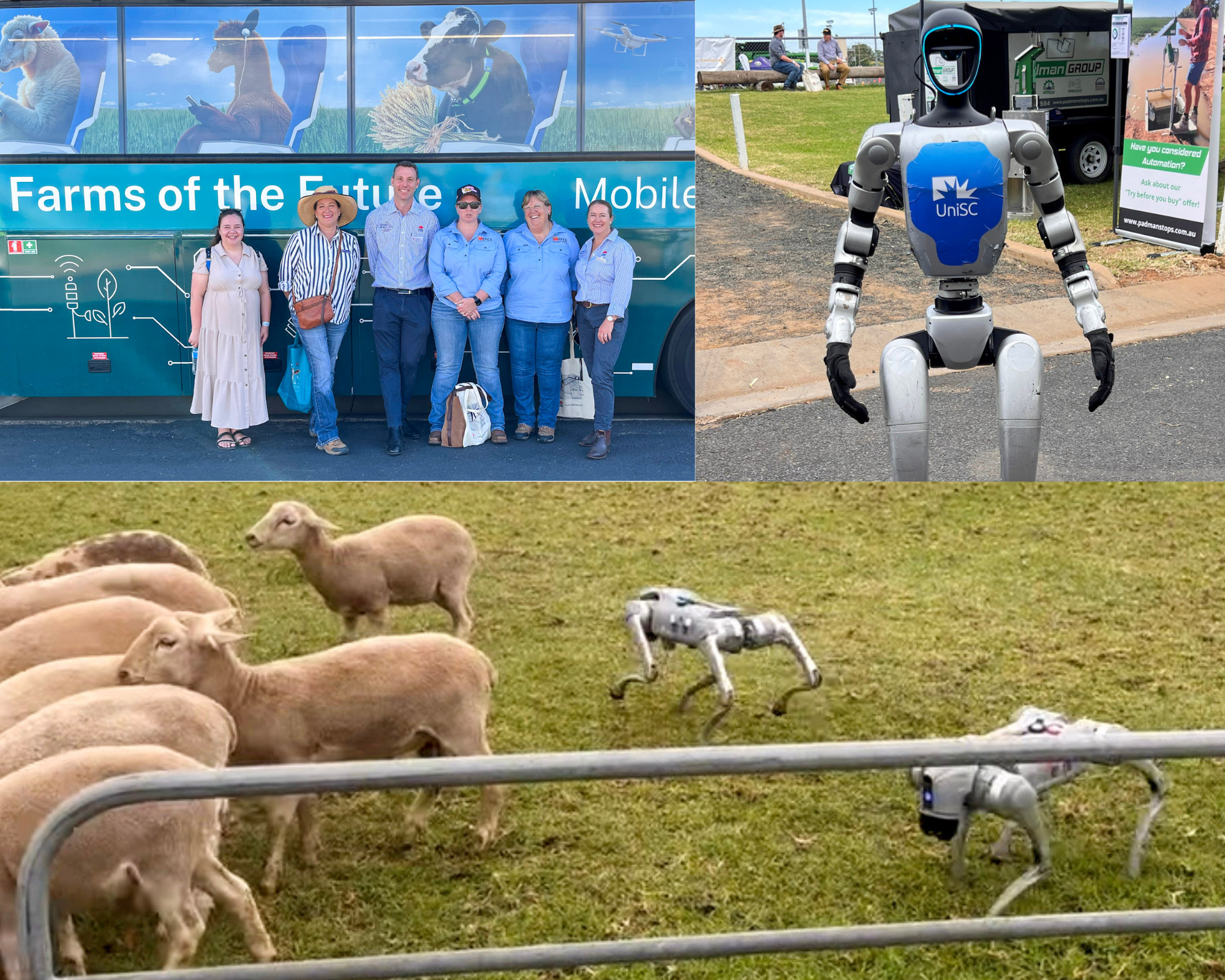 Dubbo field day innovation