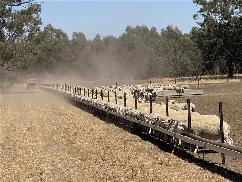 Stock containment field day photo 3