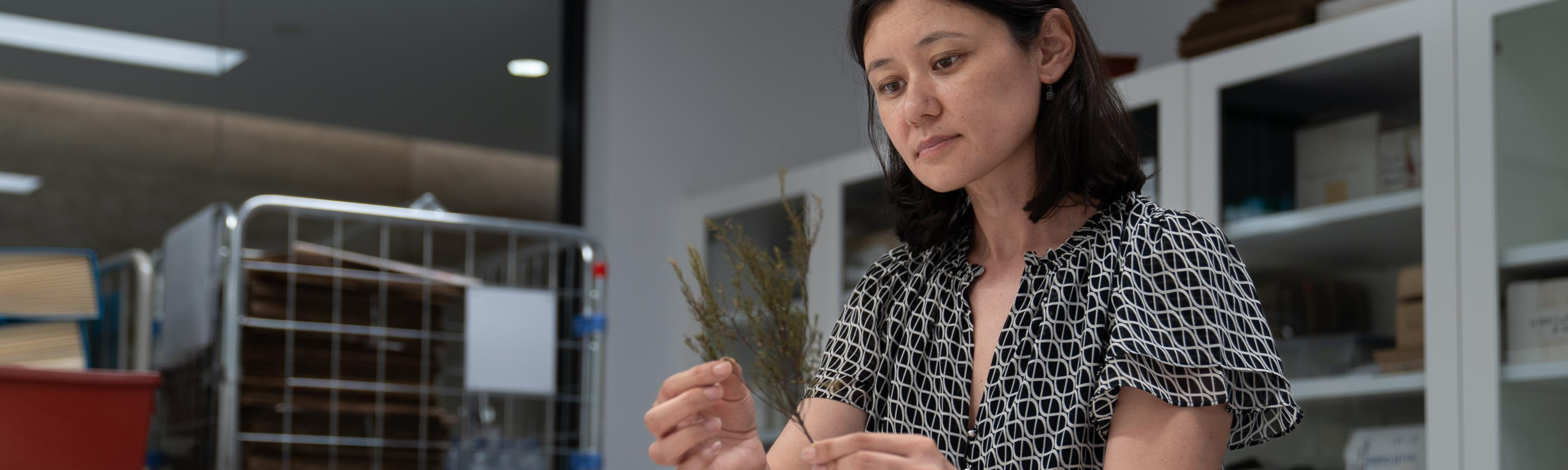 Priority weeds identification tool