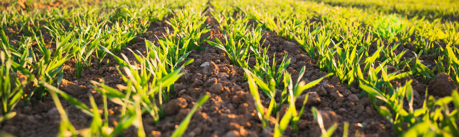 AgMap farm research tool