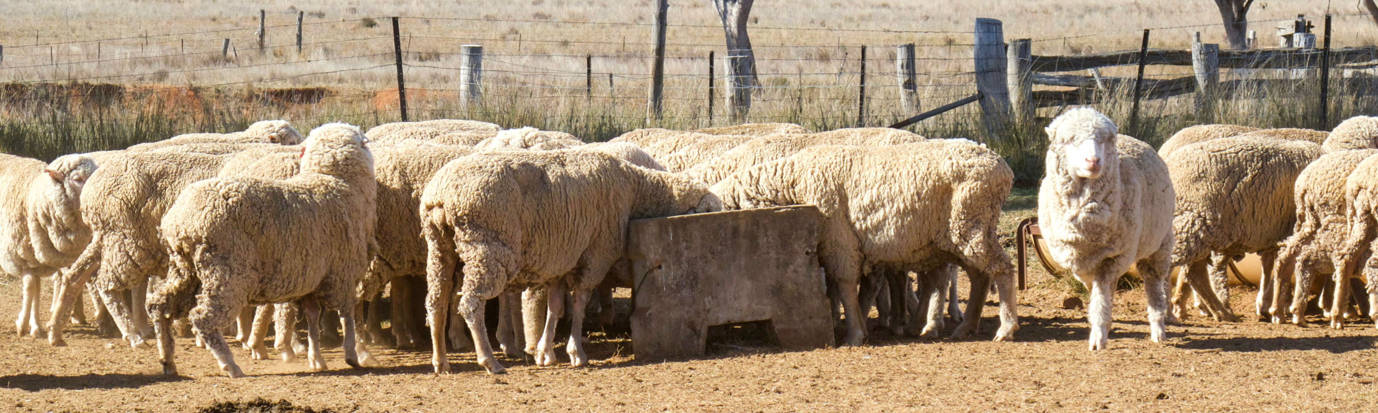 Farmers urged to seek help early