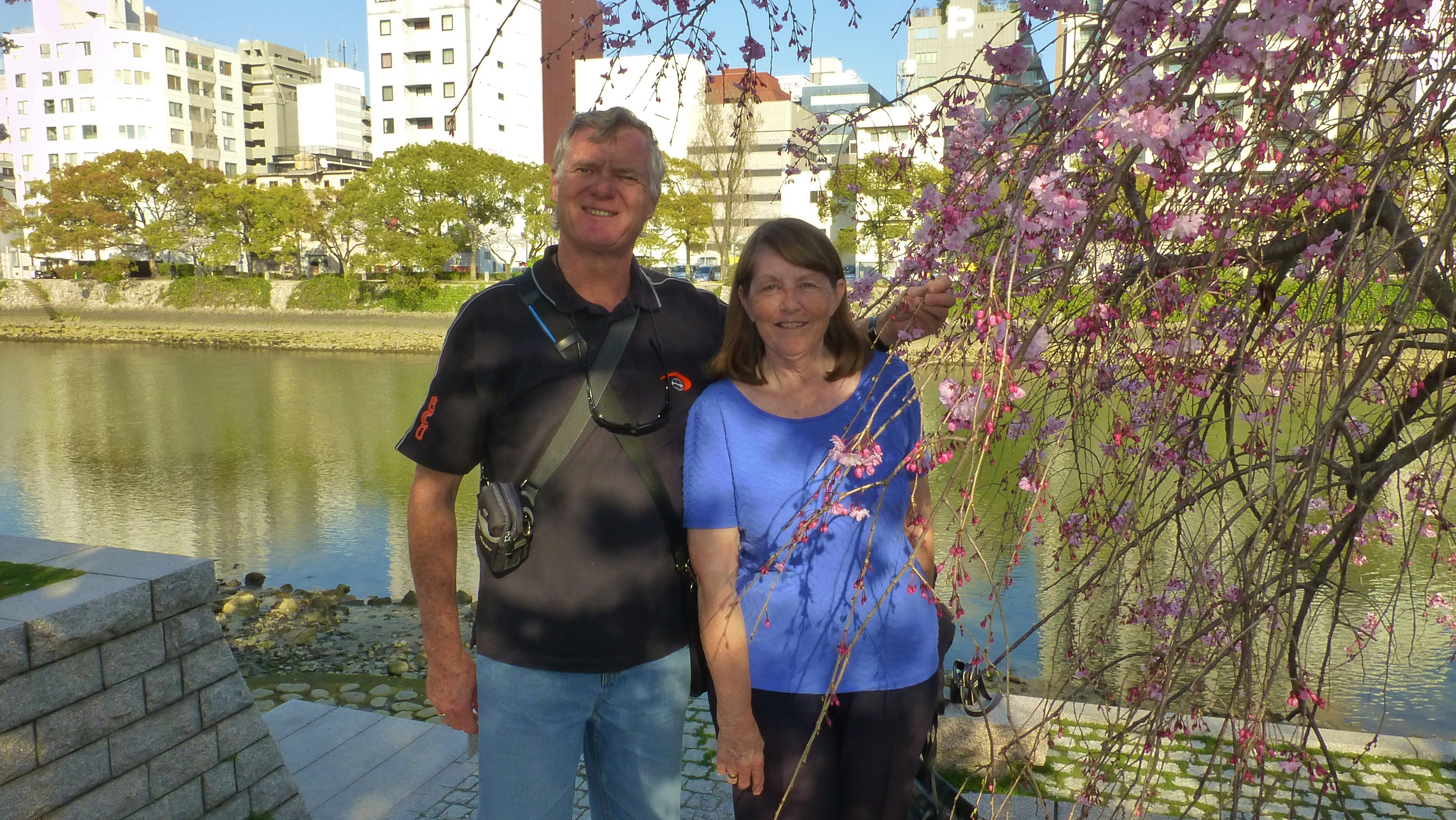 Hiroshima Cherry Blossoms